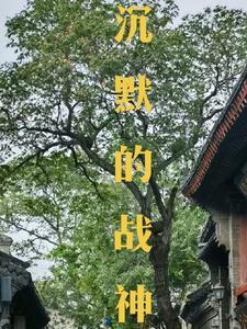 沉默的战神 沉默的战神