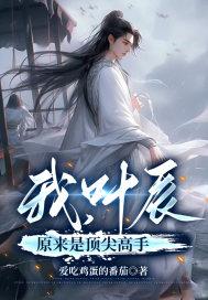 我,叶辰原来是顶尖高手 我,叶辰原来是顶尖高手